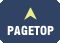 PAGE TOP